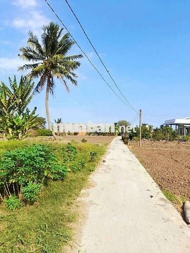 970m2 đất thổ toàn bộ đường ô tô , Kdc Bình Trinh, chốt 1 tỷ