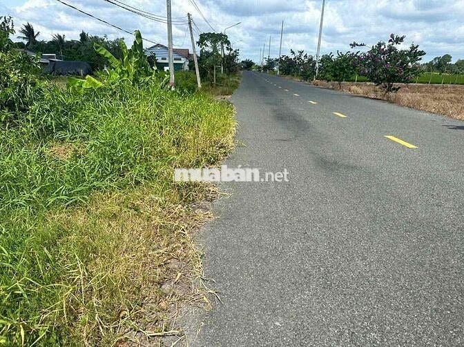 mặt tiền nhựa 12m huyện cầu quay thổ100% , đức tân - tân trụ - long an