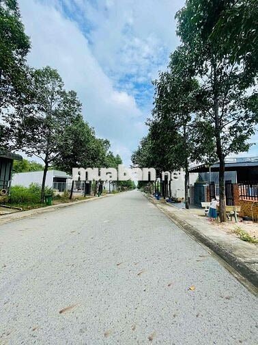 CHỈ 1 TỶ 2 SỞ HỮU LÔ ĐẤT N7 THỚI HOÀ BẾN CÁT 150M2, mặt tiền 8m SHR