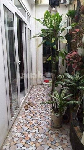 Mặt tiền Tân Bình 6.5 x 19m, 6 Tầng thang máy, TN 100tr/th giá tốt