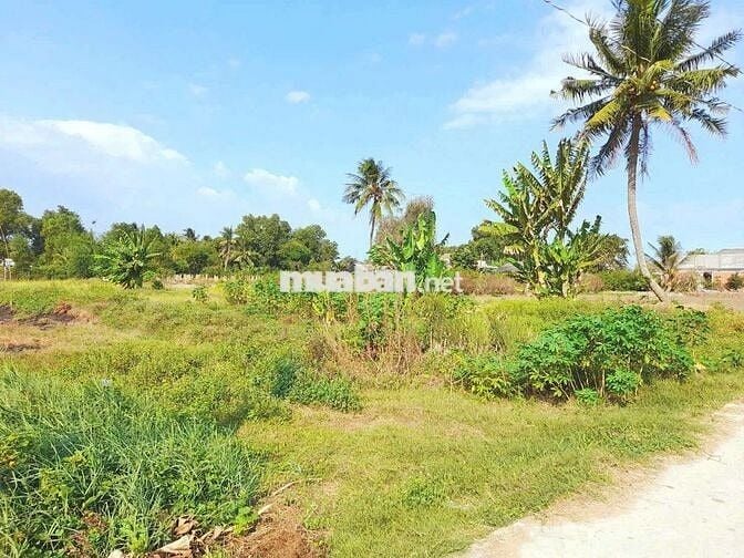970m2 đất thổ toàn bộ đường ô tô , Kdc Bình Trinh, chốt 1 tỷ