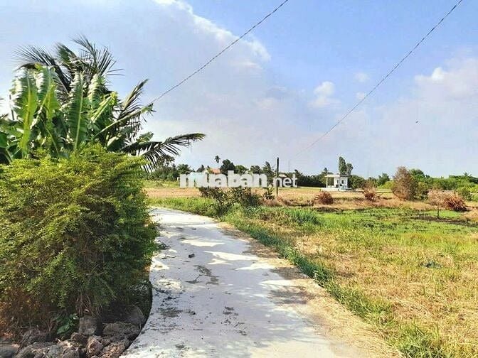 830m2 đất lúa chuyển fun thổ cư giá chốt 350tr