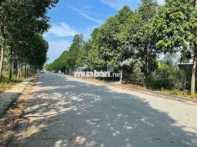 CHỈ 1 TỶ 2 SỞ HỮU LÔ ĐẤT N7 THỚI HOÀ BẾN CÁT 150M2, mặt tiền 8m SHR