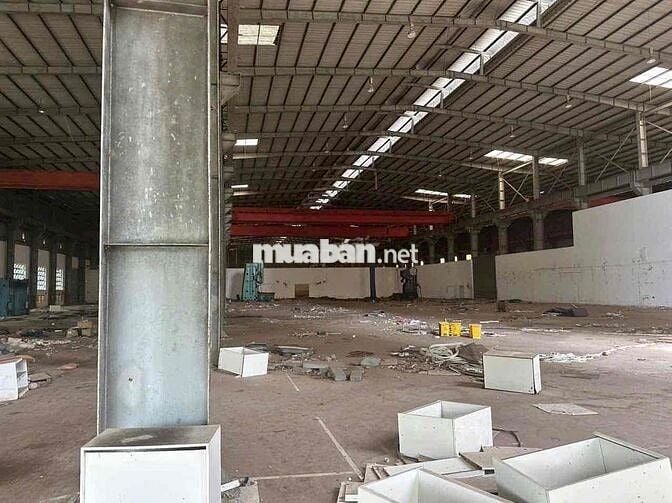 cho thuê kho xưởng mặt tiền Đào Trí 57.000m2