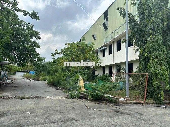 cho thuê kho xưởng mặt tiền Đào Trí 57.000m2