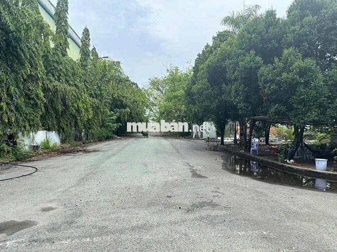 cho thuê kho xưởng mặt tiền Đào Trí 57.000m2