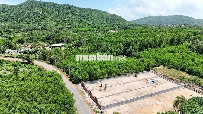 Bán 2 lô đất liền kề gần hồ Sở Bông xã Phước Hải ,BRVT