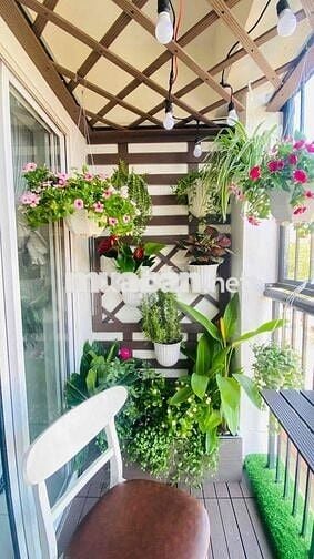 nhà cho thuê mới sơn sửa lại 25/10 vào ở ạ