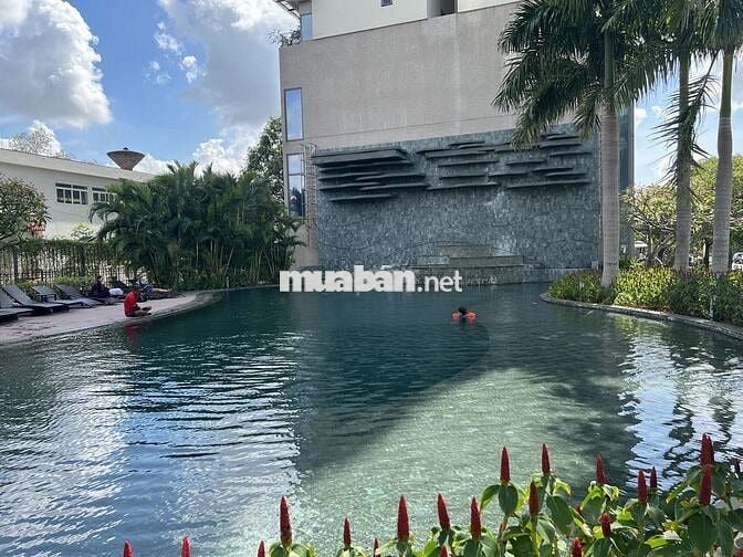 Cho thuê căn hộ Diamond Lotus Riverside Q8, 2PN full nội thất