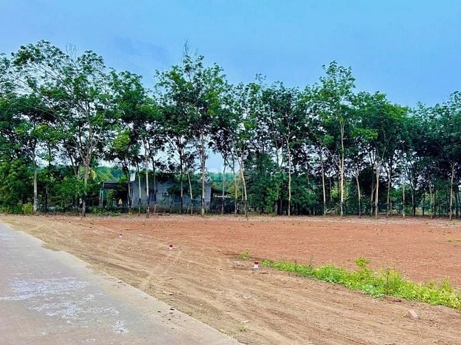 🏠 Đất Vàng Long Hà – Thích Hợp An Cư & Đầu Tư Bền Vững 🏠