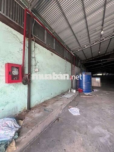 Xưởng cho thuê Xuân Thới Sơn hóc môn giá 55tr có pccc
