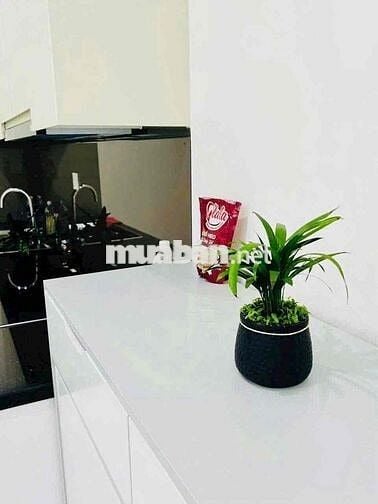 Cho thuê căn hộ csky view 1pn full nội thất
