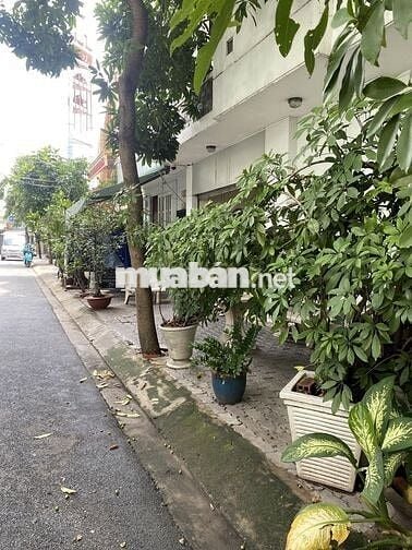 Nhà mặt tiền đường Số 11 - xinh lung linh; 4PN kề Phú Mỹ Hưng - Quận 7