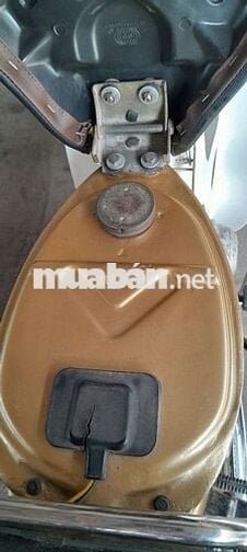 Cub 84 có đề