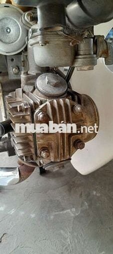 Cub 84 có đề
