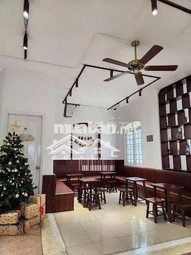 🌿 Villa Sân Vườn 15x25m nở hậu 21 |  Ngô Bệ Tân Bình | Giá chỉ 80tr🔥