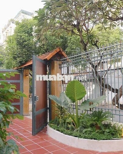 🌿 Villa Sân Vườn 15x25m nở hậu 21 |  Ngô Bệ Tân Bình | Giá chỉ 80tr🔥
