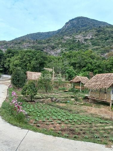 Cần bán đất vườn gần núi Bà Đen 