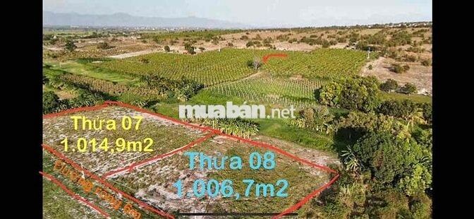 Đất vườn, khu du lịch, fram nghĩ dưỡng