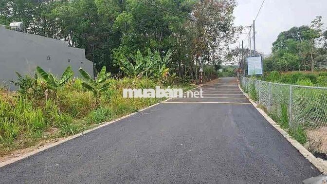 BÁN LÔ ĐẤT GÓC 2MT CHỈ 630T GẦN MT DT744 PHÚ AN BẾN CÁT