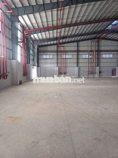 Xưởng cho thuê trong KCN xuyên Á Mỹ Hạnh Long An