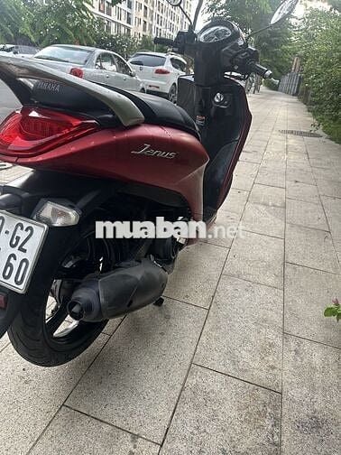 Janus 2020 1 chủ từ đầu