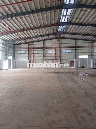 Xưởng cho thuê trong KCN xuyên Á Mỹ Hạnh Long An