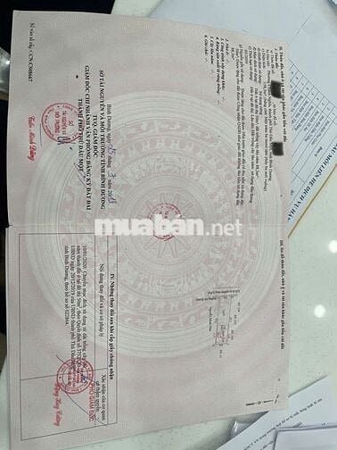 Nhà 3 phòng ngủ, đất diện tích 138,3m2, 100m TC, phường Chánh Nghĩa