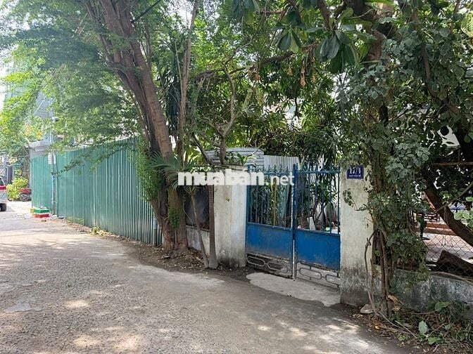 CHO THUÊ MẶT BẰNG KINH DOANH – TRUNG TÂM NHA TRANG