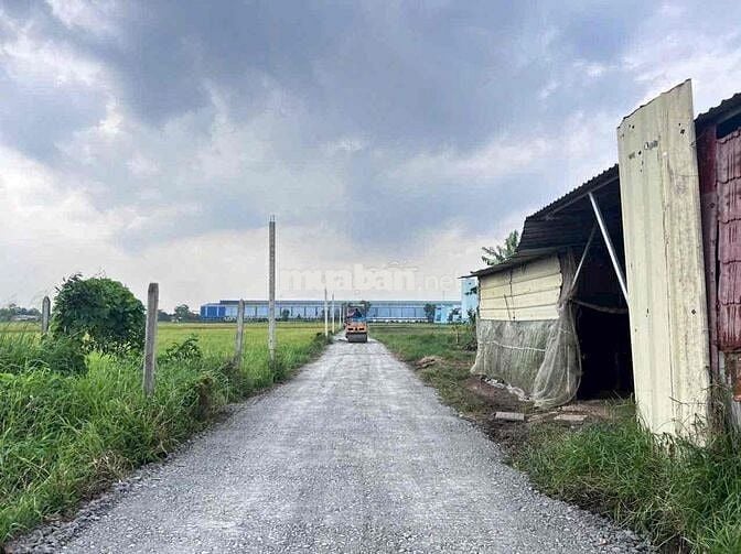 Đất Dht 25x36m giá 1ty450 đường ô to
