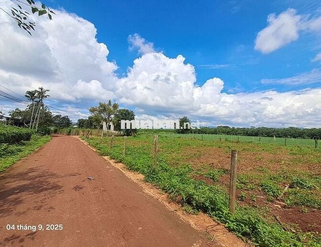 Chính chủ cần bán 157m² đất gần sân bay Liên Khương chỉ 790 triệu