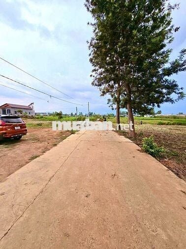 🌳 ĐỨC TRỌNG | 300m² sẵn thổ cư, gần sân bay & cao tốc, chỉ 999TR