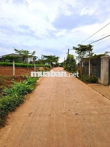 🌳 ĐỨC TRỌNG | 300m² sẵn thổ cư, gần sân bay & cao tốc, chỉ 999TR