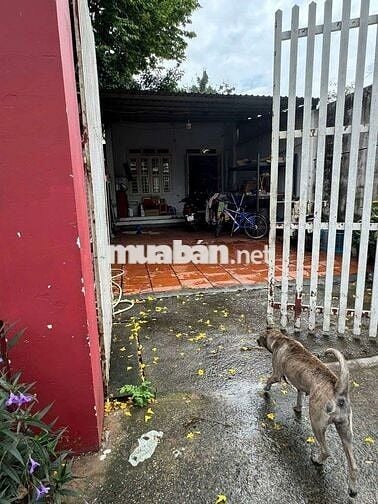 MẶT BẰNG LÀM QUÁN ĂN, CAFE, KHO DT 620M2, SẴN NHÀ 100M2