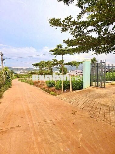 🌳 ĐỨC TRỌNG | 300m² sẵn thổ cư, gần sân bay & cao tốc, chỉ 999TR