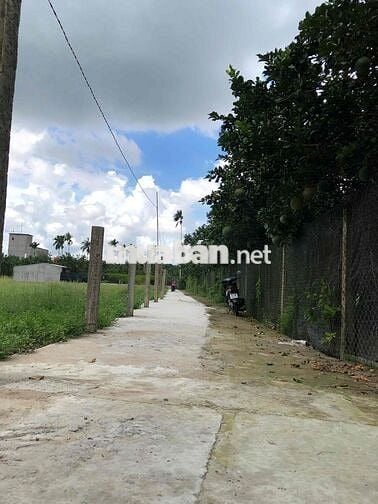 Em cần bán 15 nền đất ODT ở Mỹ Phong TP.Mỹ Tho giá 600triệu /nền 150m2