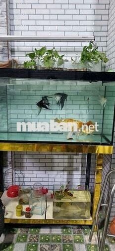 Bán nhà 1tret 1lầu tân Kiên cũ ( Tân Nhựt mới )