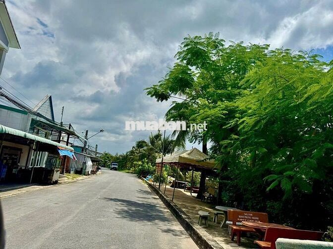 Siêu phẩm đất thổ vườn 330m2 đất ODT Cách Co.op mart Trảng Bàng 500m