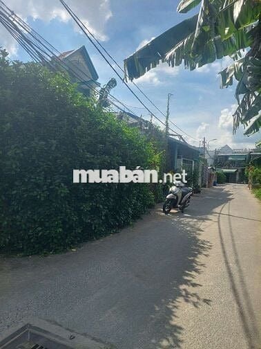 BÁN ĐẤT THỔ CƯ. GẦN ĐẶNG THÚC VỊNH. THỚI TAM THÔN 12BIS Cũ