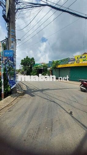 Sang gấp CỬA HÀNG CÂY KIỂNG – CHẬU KIỂNG