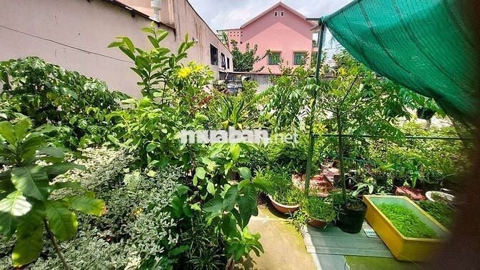 Sang gấp CỬA HÀNG CÂY KIỂNG – CHẬU KIỂNG