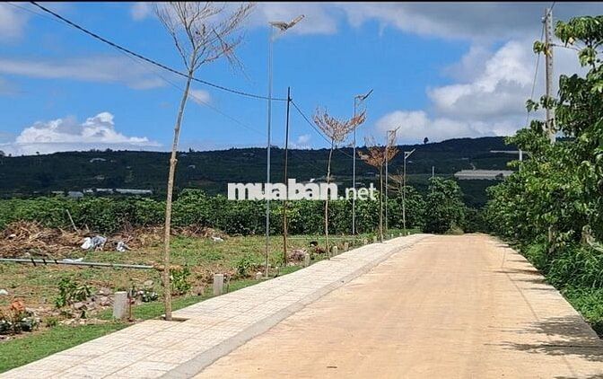Chính chủ cần bán 200m² sẵn thổ cư chỉ 430 triệu tại Đinh Văn Lâm Hà