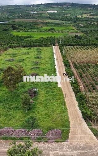 Chính chủ cần bán 200m² sẵn thổ cư chỉ 430 triệu tại Đinh Văn Lâm Hà