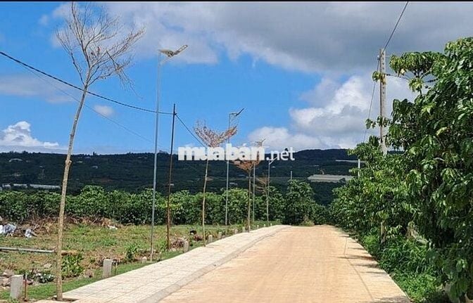 Chính chủ cần bán 200m² sẵn thổ cư chỉ 430 triệu tại Đinh Văn Lâm Hà
