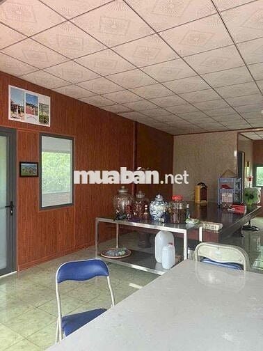 Cho thuê nhà vườn Bình Hoà Vĩnh Cửu