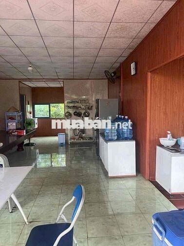 Cho thuê nhà vườn Bình Hoà Vĩnh Cửu