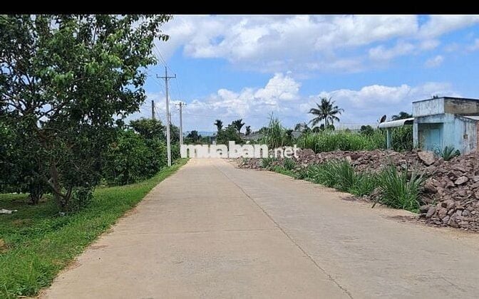 Chính chủ cần bán 200m² sẵn thổ cư chỉ 430 triệu tại Đinh Văn Lâm Hà