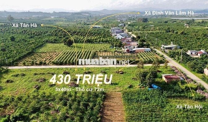 Chính chủ cần bán 200m² sẵn thổ cư chỉ 430 triệu tại Đinh Văn Lâm Hà