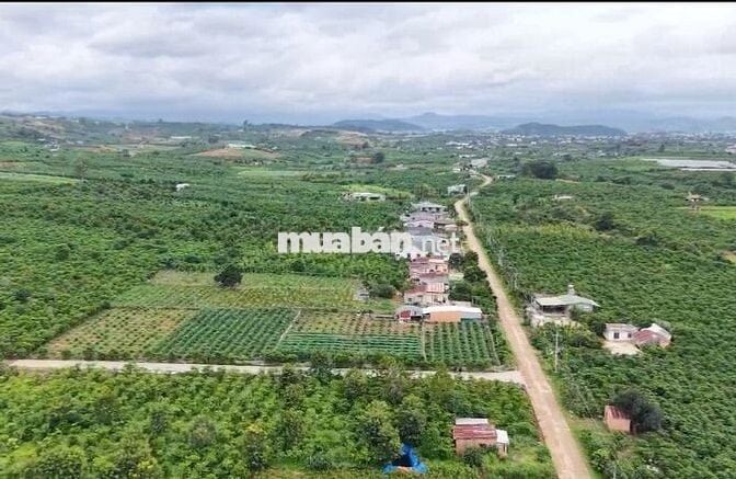 Chính chủ cần bán 200m² sẵn thổ cư chỉ 430 triệu tại Đinh Văn Lâm Hà