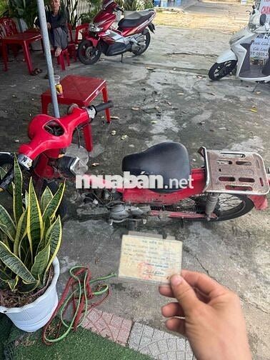 cub 50 giấy đầy đủ